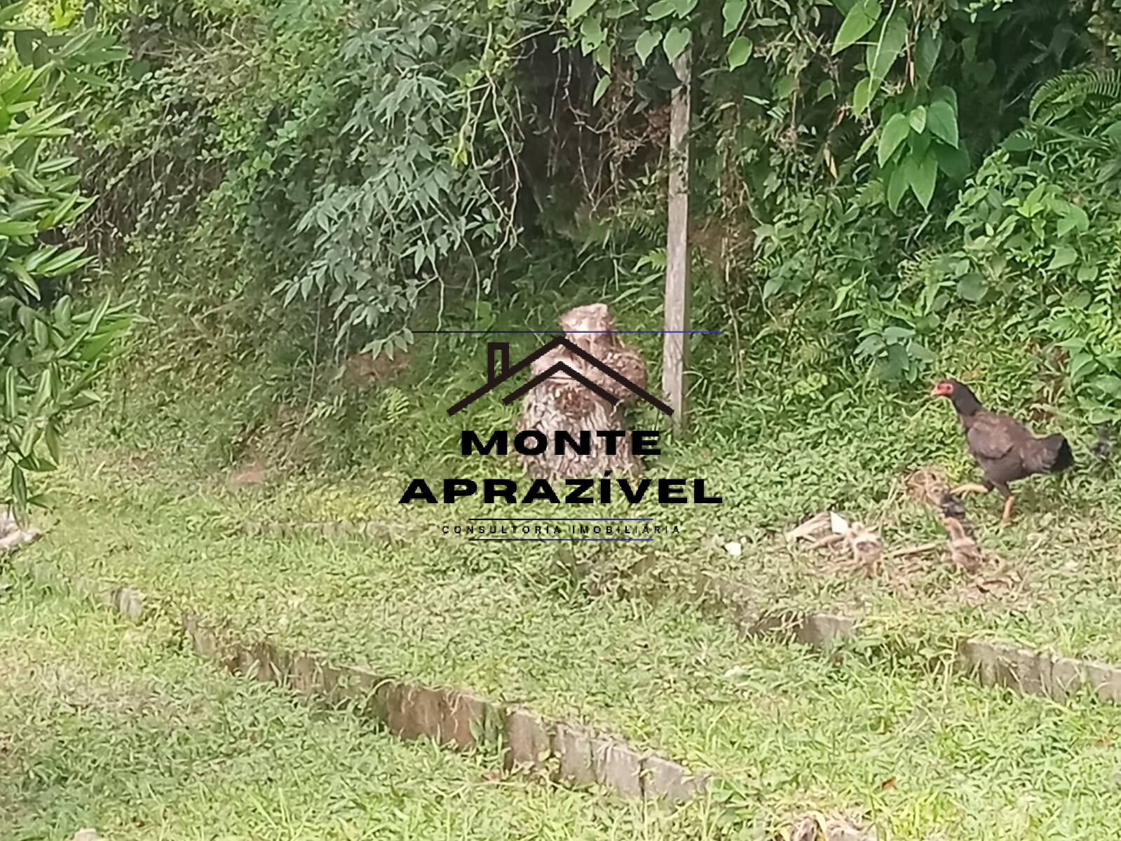 Fazenda à venda com 4 quartos, 3000m² - Foto 23