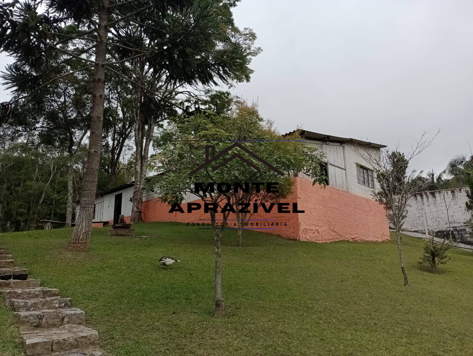 Fazenda à venda com 3 quartos, 2830m² - Foto 11