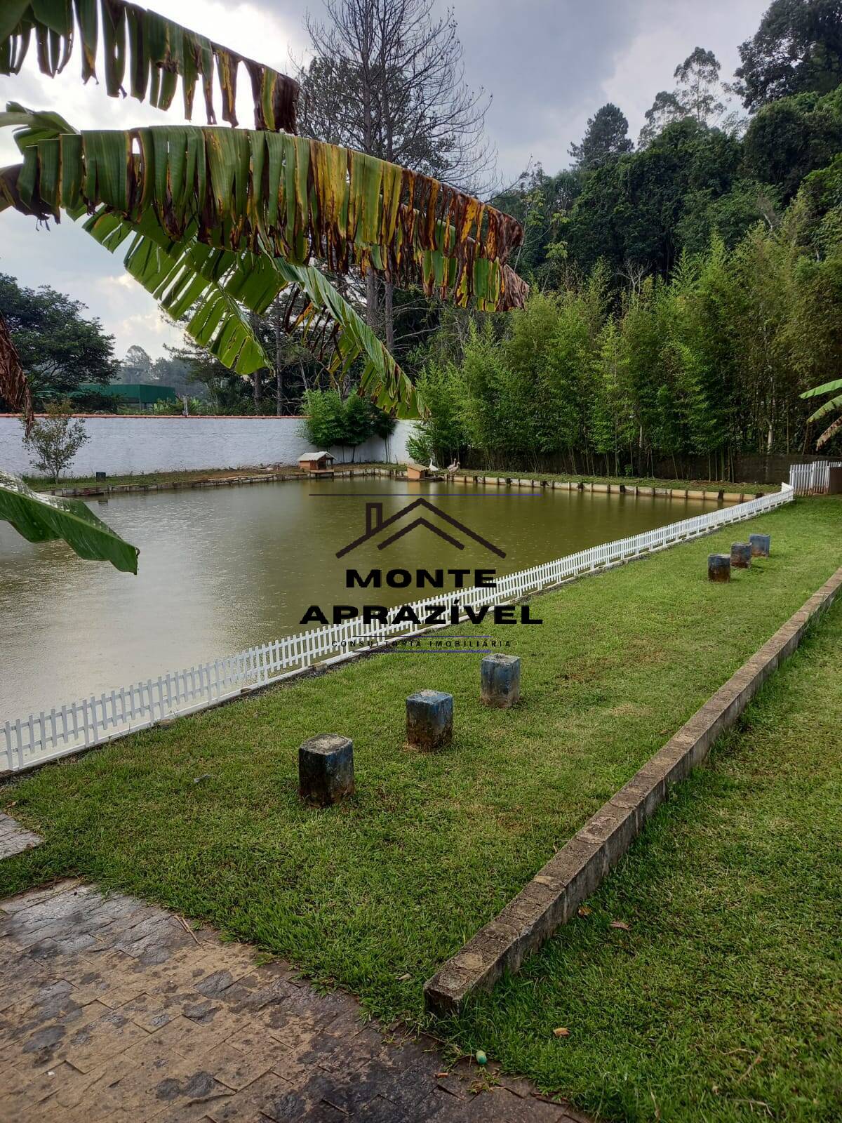 Fazenda à venda com 2 quartos, 4000m² - Foto 37