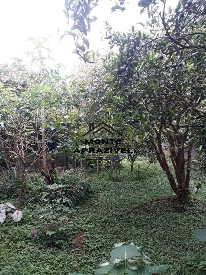 Fazenda à venda com 3 quartos, 1680m² - Foto 31