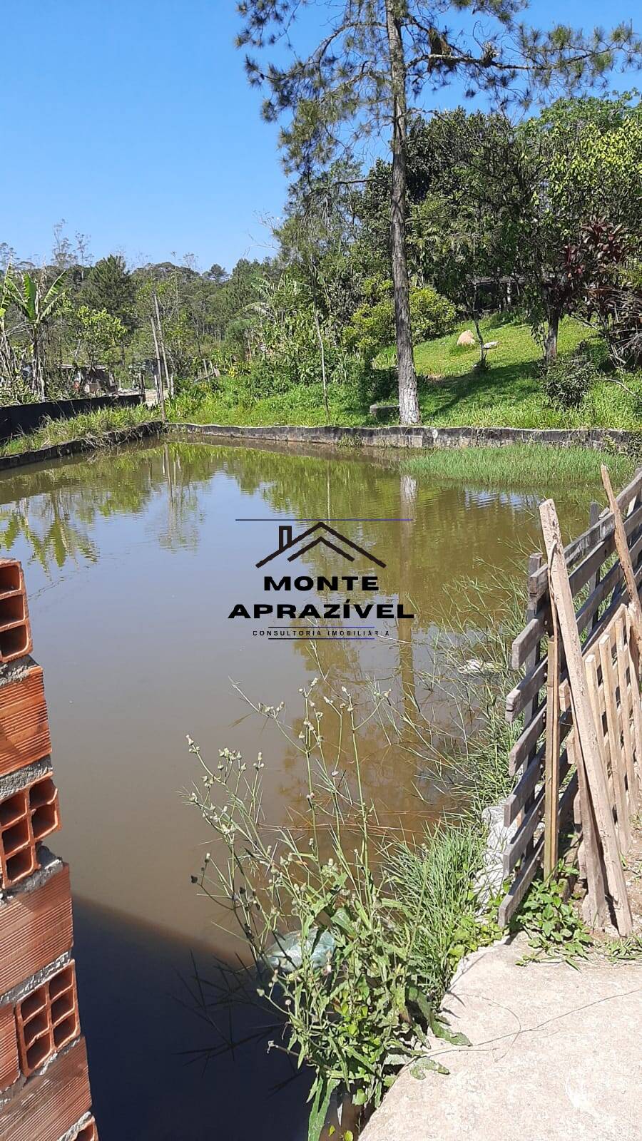 Fazenda à venda com 5 quartos, 2500m² - Foto 3