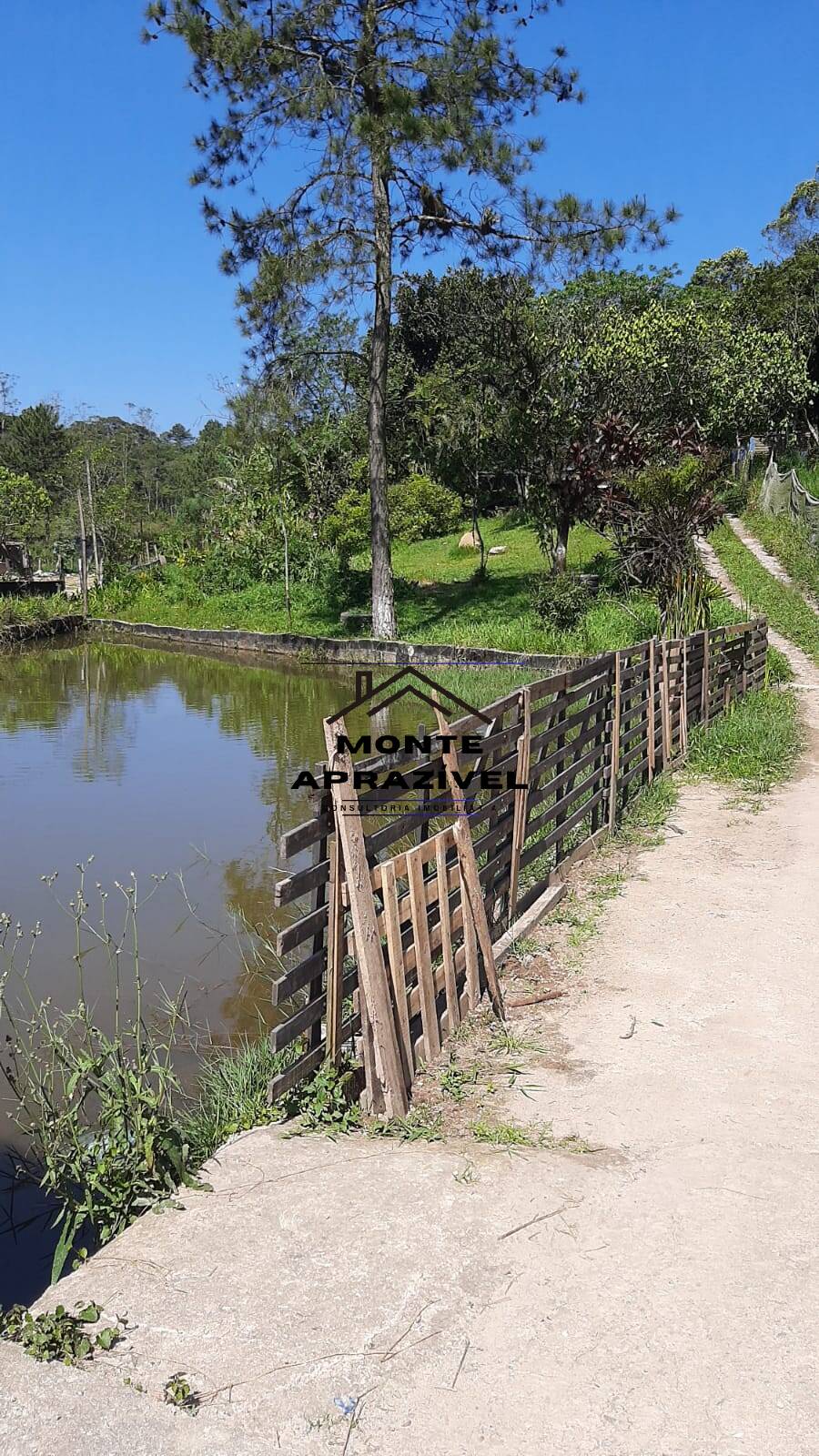 Fazenda à venda com 5 quartos, 2500m² - Foto 12