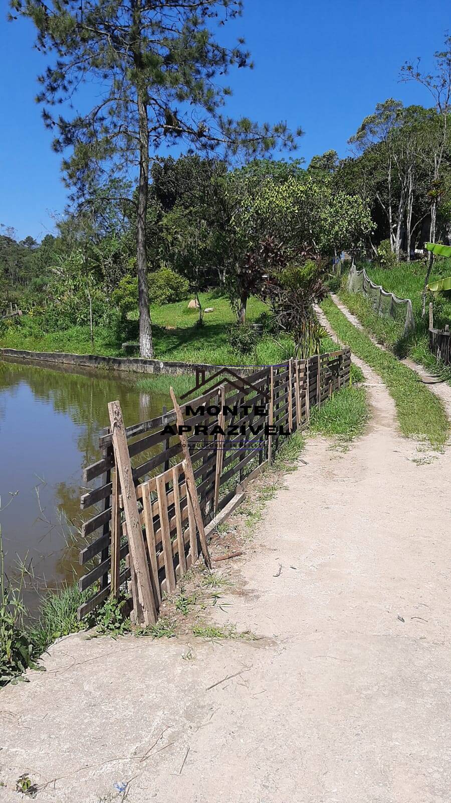 Fazenda à venda com 5 quartos, 2500m² - Foto 13